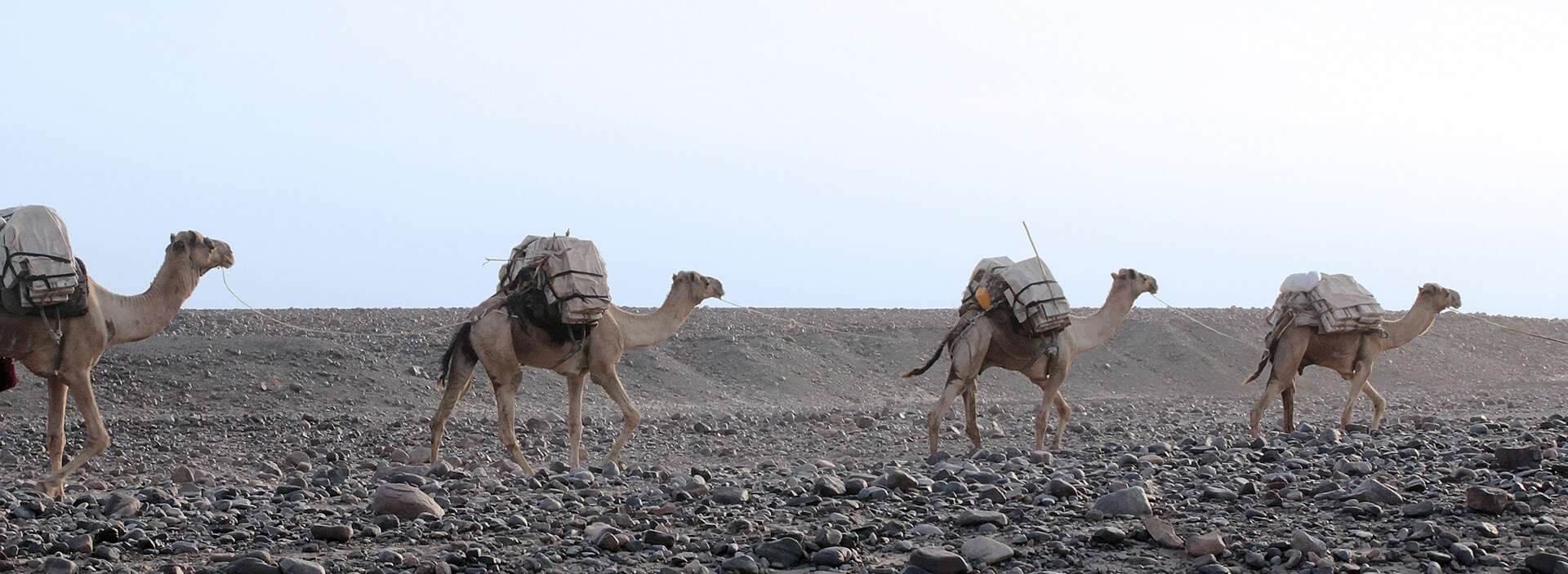 PARTNERING IN ETHIOPIA’S GROWTH